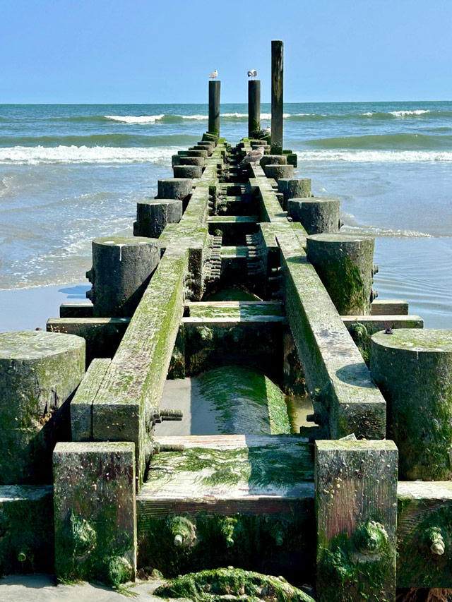 Newark EV Charger Installer